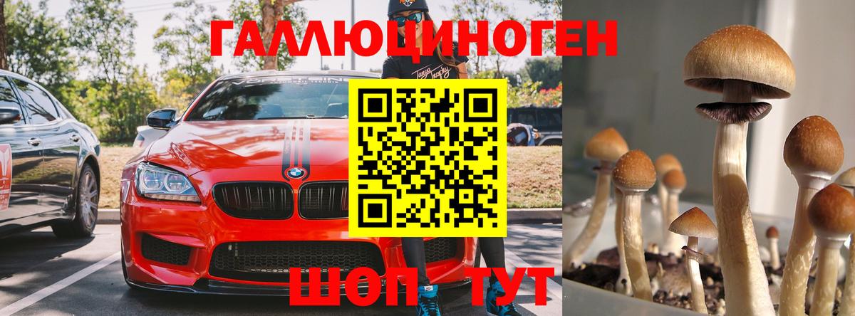 Корсаков  Галлюциногенные грибы мухоморы  Вход с VPN 